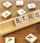 小红书代运营服务项目有哪些呢？成都小红书推广